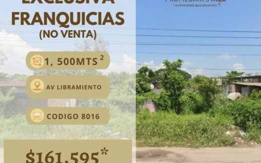 Terreno en Renta Exclusiva para Franquicias – Lázaro Cárdenas, Michoacán